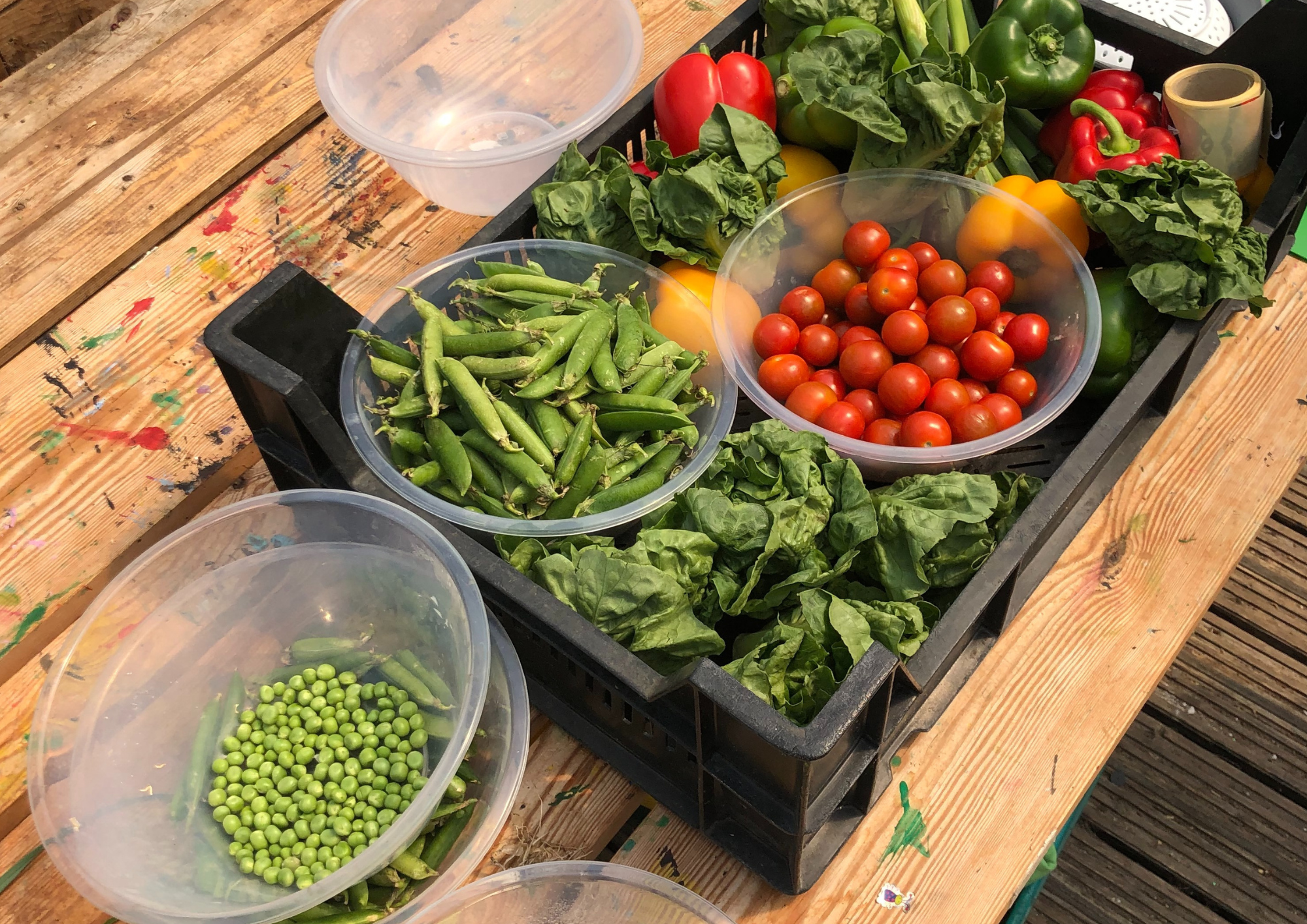 Boxes and bowls of veg